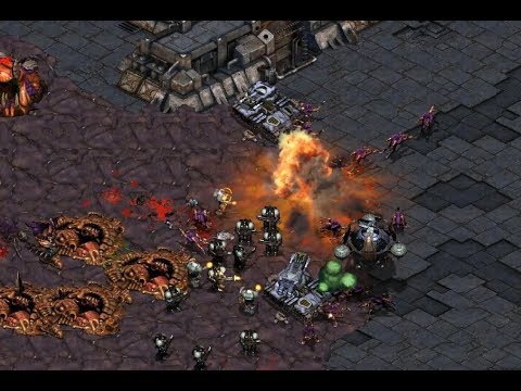 Effort (Z) v Last (T) on Circuit Breakers - StarCraft  - Brood War REMASTERED