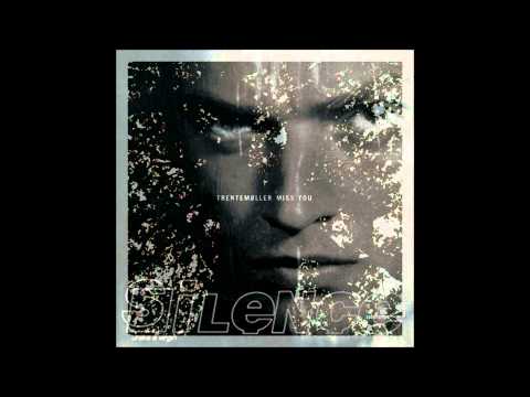 The Missing Animal - Silence vs Trentemoller - Mashup