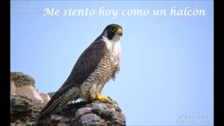 INSURRECCIÓN EL ÚLTIMO DE LA FILA (LETRA)