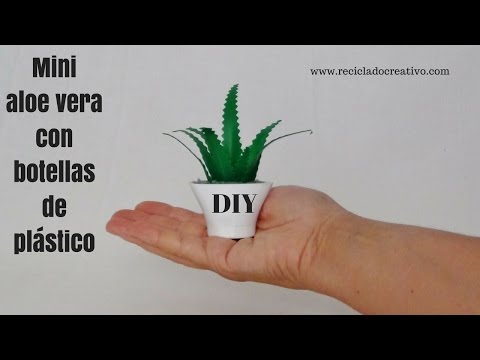 Recopilación de plantas en miniatura realizadas con botellas de plástico