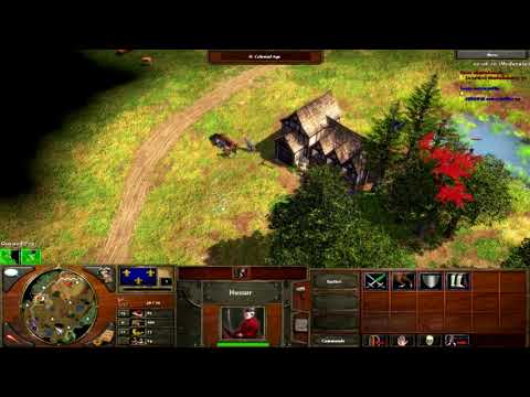 Age of Empires 3 - French Vs Ottomans Late Game
