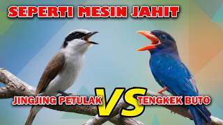 Download lagu TENGKEK BUTO SAMBUNG PETULAK JINGJING MASTERAN MESIN JAHIT TROTOL GACOR DOR mp3