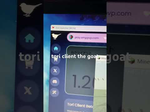 Amazing Tori Client FPS on a bad laptop