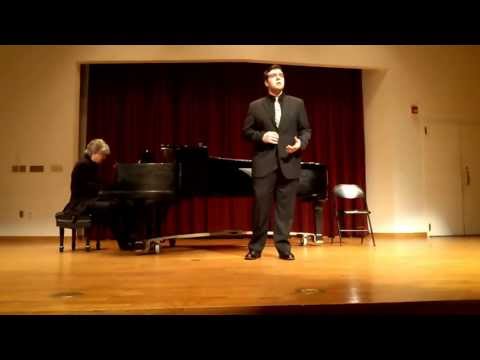 Erlkönig (Schubert) - Michael Wesely, Baritone and Tom Bartsch, Piano