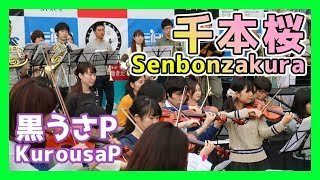 Download lagu 黒うさP/千本桜(オーケストラ)朝♪クラ~Asa-Kura~ mp3 Download lagu 黒うさP/千本桜(オーケストラ)朝♪クラ~Asa-Kura~ mp3