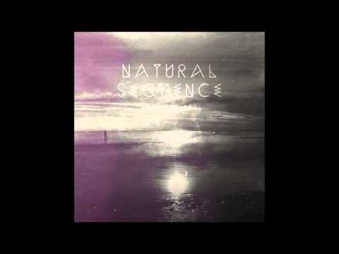 Natural Sequence - Love feat. FD Vadim