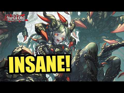 BEST CARD OF 2025!? | NEW DRASELEA PURE PREDAPLANT COMBO! | POST BLZD! | Yu-Gi-Oh!