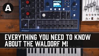 Video thumbnail for Everything You Need to Know About the Waldorf M Wavetable Synthesiser in Under 10 Minutes! by Andertons Synths, Keys and Tech