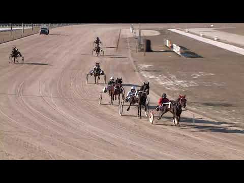 2021.02.13. 01. futam - EZERJÓ DÍJ