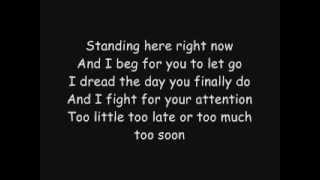 Rise Against: Faint Resemblance (Lyrics)