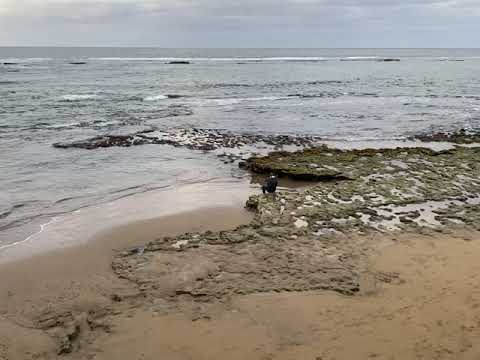 Playa de las Canteras 15 de Enero del 2021 Filomena al acecho