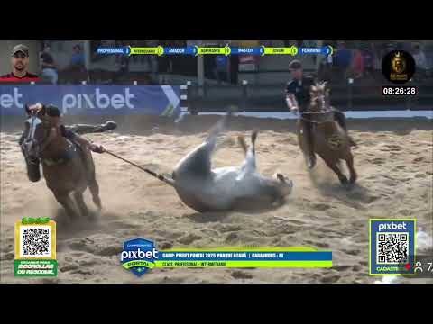 Live Vaquejada | Professional Classification Acauã Park | Pixbet Portal Championship 2025
