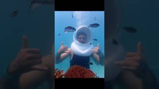 Download lagu Underwater Sea Walk Pattaya Thailand 🪸🐠🐙😀 mp3