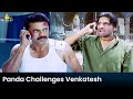 Panda Challenges Venkatesh Gharshana Telugu Movie Scenes SriBalajiMovies