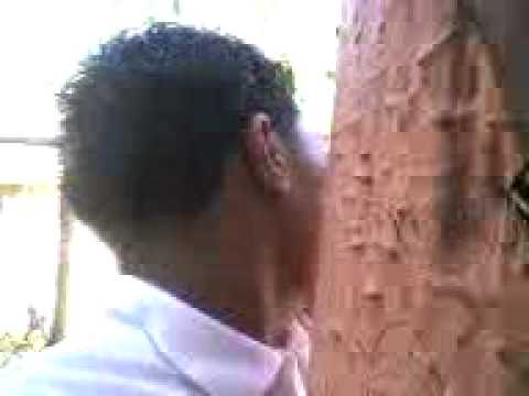 indio en la francisco morales naranjito