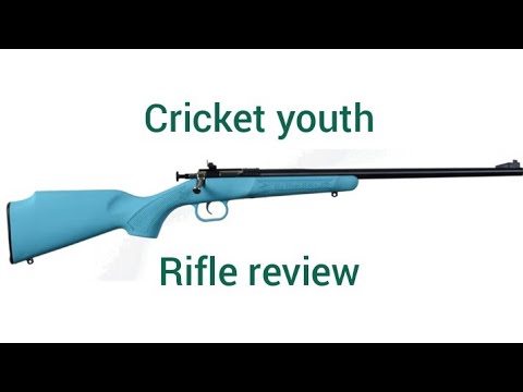 Crickett Rifle Impressions