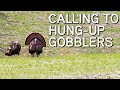 TURKEY CALLING TIPS Calling To Hung Up Gobblers