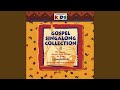 When The Saints Go Marching In (Split Track Format)
