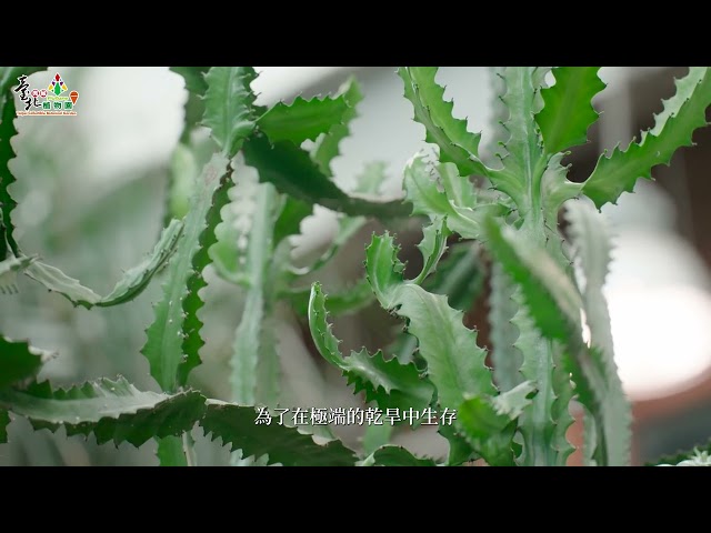 臺北典藏植物園宣傳影片2(115年版)