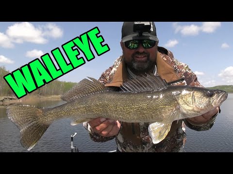 So Many Ways to Catch Walleye | Being Diverse is KEY!