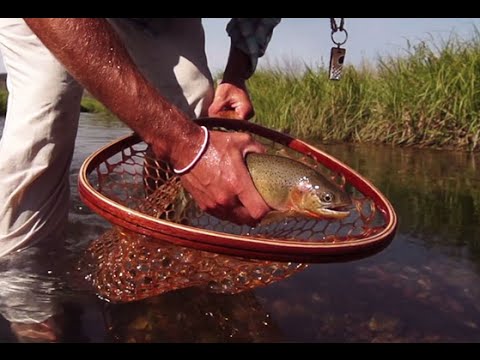 ORVIS - Recon Fly Rod - Maps not Included