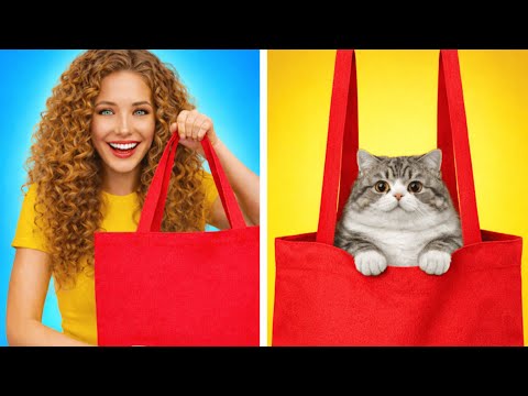 DIY Pet Challenge: From Simple Cardboard to a Luxury Pet Palace 🏠💎