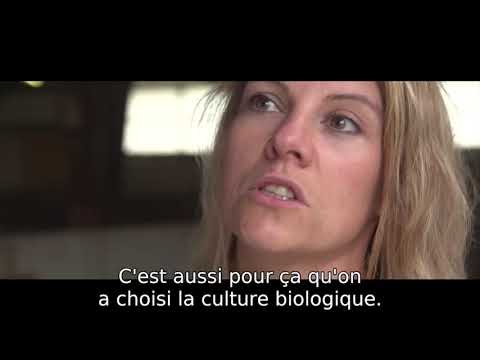 Le Petit Basque, uma história de tradição