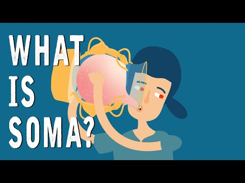 What is Soma?