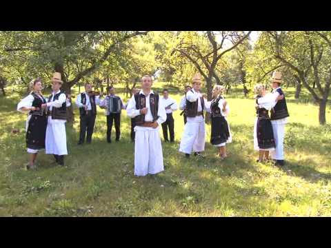 Dani Pomian - Suparat n-ar fi codru