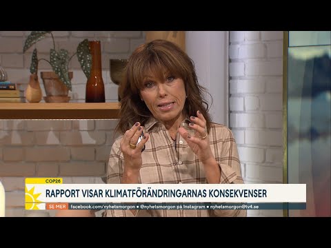 Så påverkas Sverige av klimatförändringarna  | Nyhetsmorgon | TV4 & TV4 Play