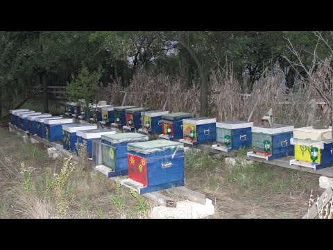 251. Nesting restriction