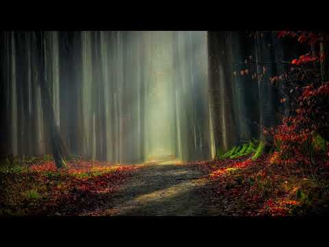 Edward Elgar – Salut d'Amour, Op. 12