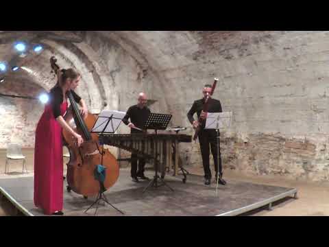 Ave Maria - A.Piazzolla- (Double bass, Bassoon and Marimba Version)