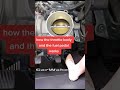 How throttle body and fuel pedal works during acceleration 🚘🔥