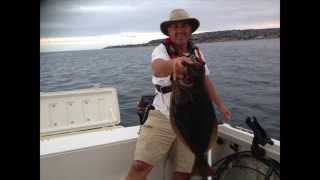 Glorious Day 2452 Bayliner