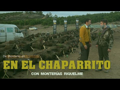 "HUNT IN EL CHAPARRITO WITH RIQUELME HUNT" in El Almendro (Huelva) October 22, 2022.