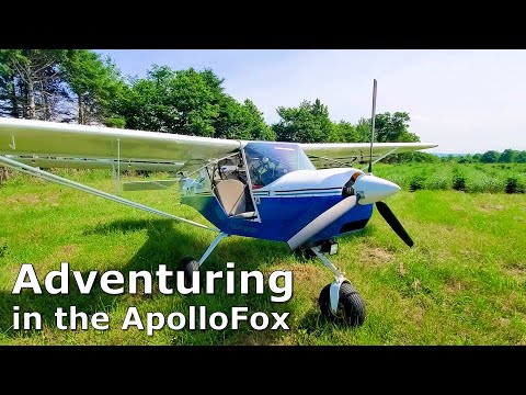 Dragon Hunting with Violet