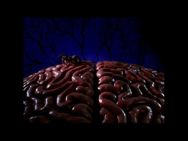 Lunatics: A Love Story (1991) - Stop Motion Shots