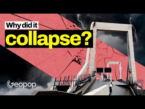 The Morandi Bridge Collapse in Genoa, a Never-Before-Seen 3D Video Reconstruction