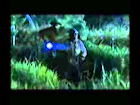 Jurassic Park 2 - Il mondo perduto