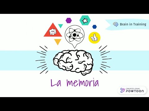 LET'S LEARN WHAT MEMORY IS...IN 3 MINUTES! || Brain in Training 🧠