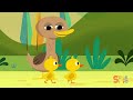 Five Little Ducks Kids Songs Super Simple Songs