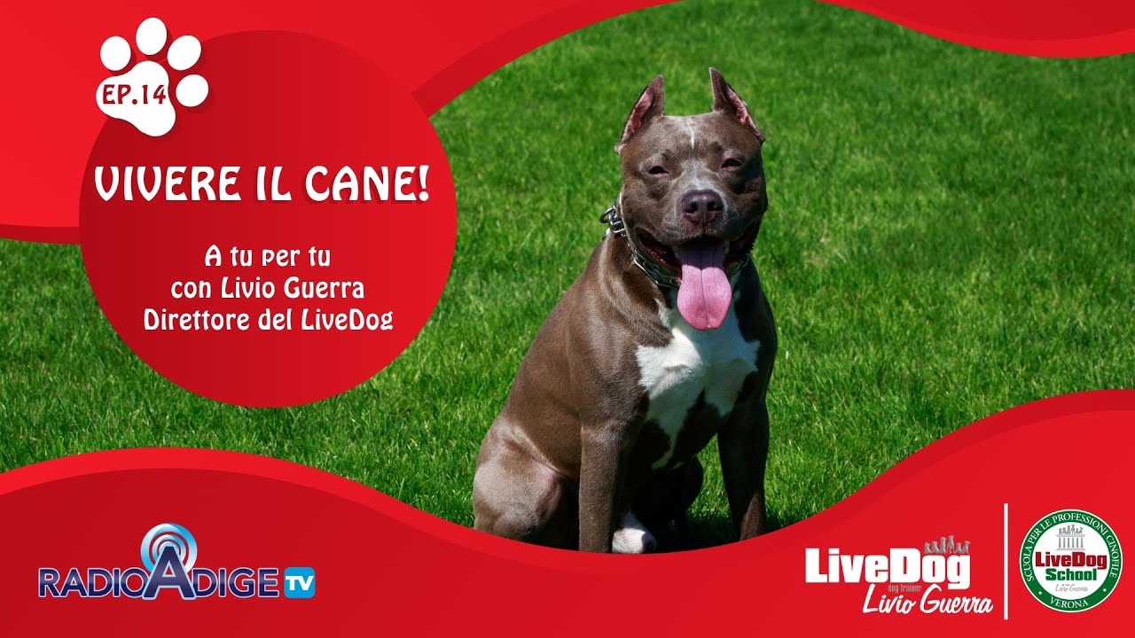 Descrizione dell'immagine