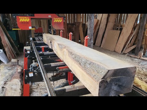 First time cutting Southern Live Oak on the sawmill