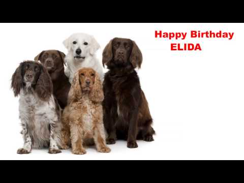 Elida  Dogs Perros - Happy Birthday