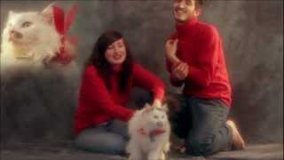 Summer Camp - Losing My Mind