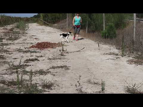 Vídeo de MONDA