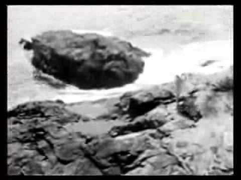 lootbeg - say (official video)