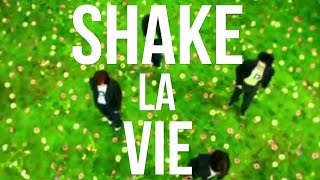 AshCoolBro - Shake La Vie  (Taylor Swift vs B*Witched)