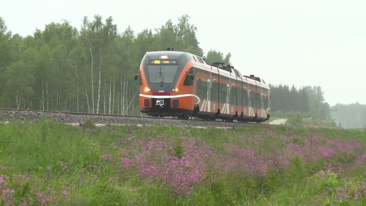 Штадлерский дизель-поезд 2428 близ ст. Табивере / Stadler DMU 2428 near Tabivere